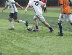 米亚托维奇,展望维尼修,斯未来,平博体育,平博体育官网,平博体育官方,平博体育下载