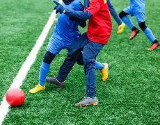 平博体育,资讯,平博体育官网,平博体育,平博体育官网,平博体育官方,平博体育下载